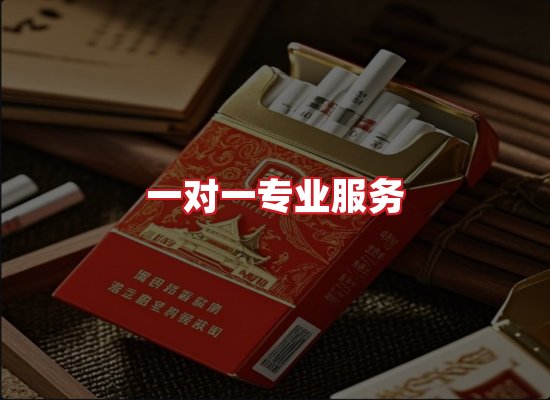 专业团队